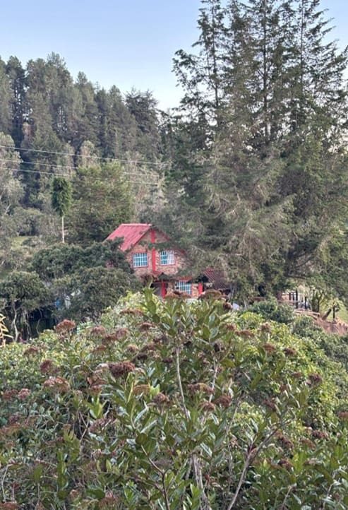 Finca La Puerta del Sol - Vista general